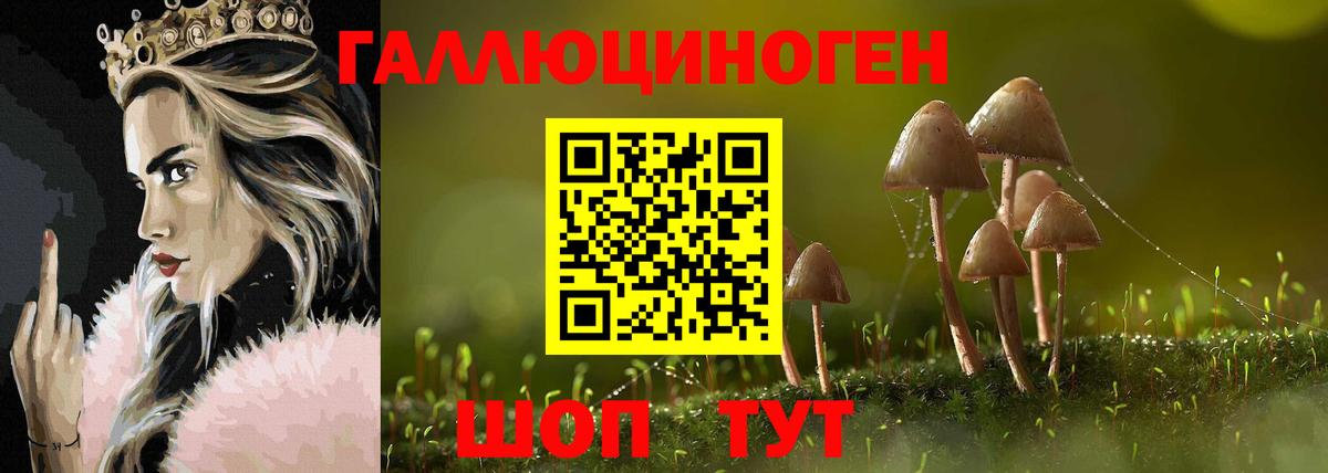 Галлюциногенные грибы MAGIC MUSHROOMS Озёрск