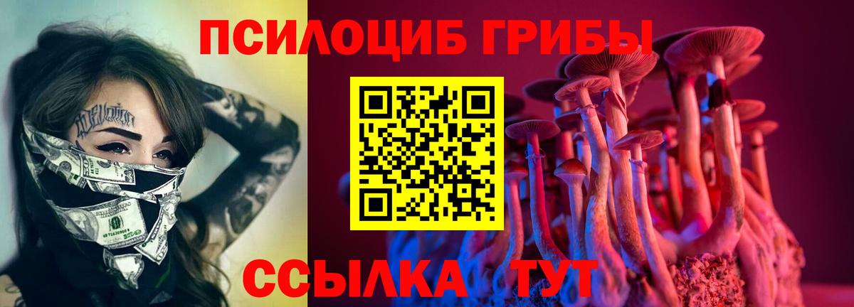 Псилоцибиновые грибы Cubensis  Вход с VPN  Галлюциногенные грибы Magic Shrooms  Озёрск 
